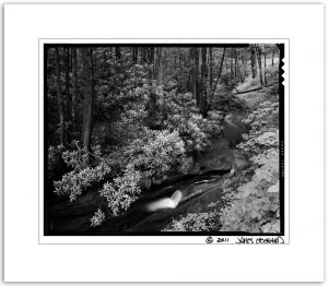 Fernow Creek BW2.jpg